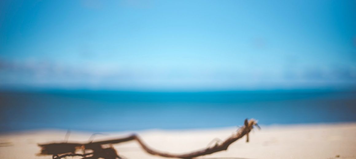 What to read on the beach