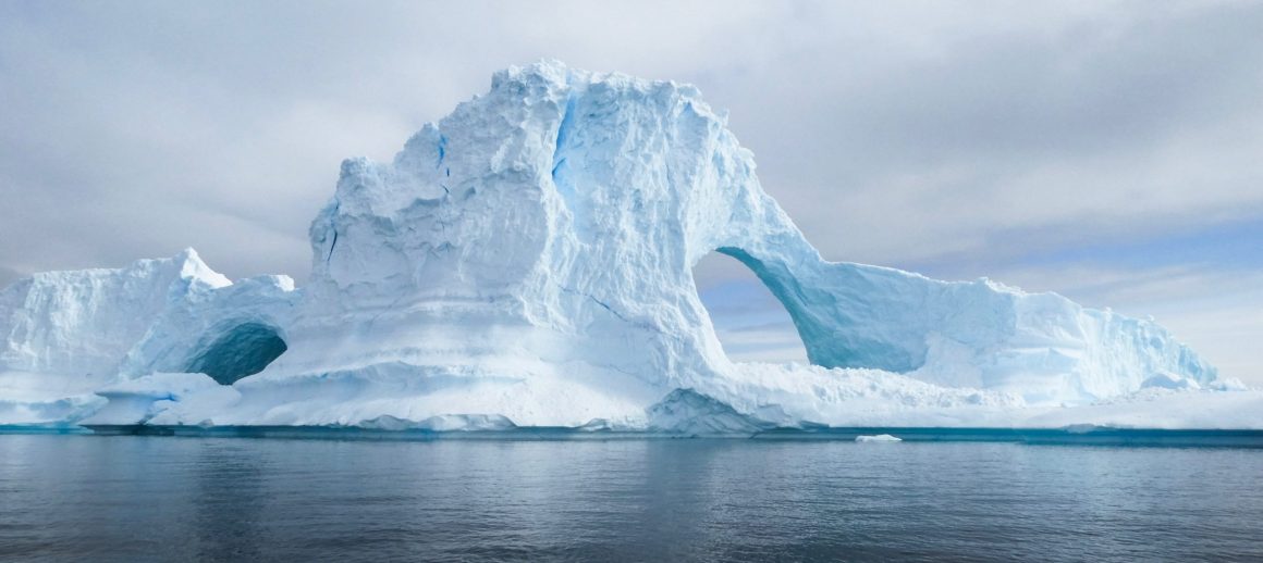 LHPI – an InsurTech leader or laggard?