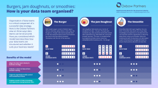 Structuring data teams: burgers, jam doughnuts or smoothies