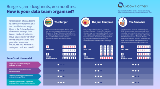 Structuring data teams: burgers, jam doughnuts or smoothies