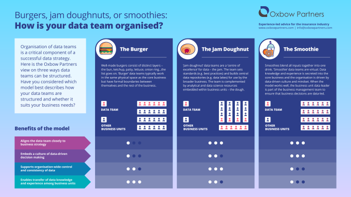 Structuring Data Teams: infographic summarising the three ways in which data teams can be organised. We have described these as the Burger, the Jam Doughnut, and the Smoothie. There is no correlation between the healthiness of the food and the desirability of the model for insurance companies.