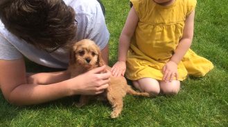 Video series: Working from home during the lockdown for Assistants