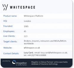 Oxbow Partners TechExec Interview - Whitespace company profile