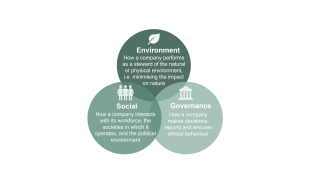 ESG: A primer for insurance executives