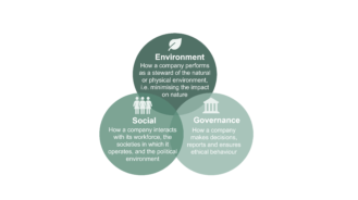 ESG: A primer for insurance executives