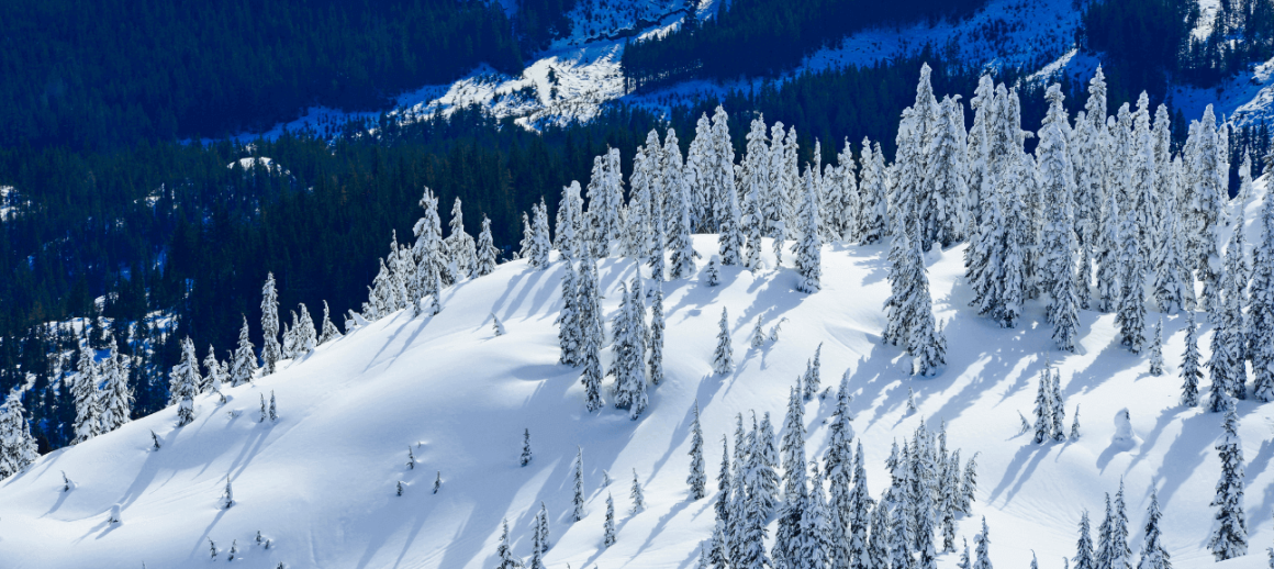 9 technologies improving ESG in insurance