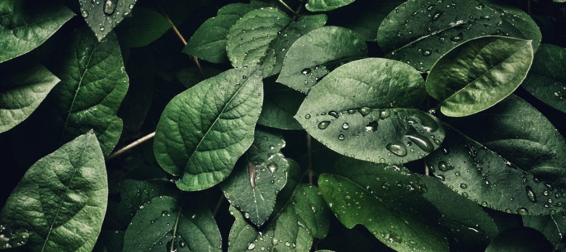 2021: ESG in retrospect