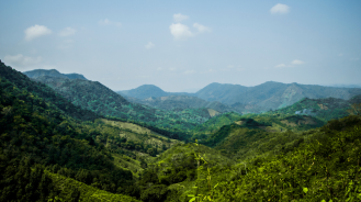 15 September: What’s going on in ESG and insurance?