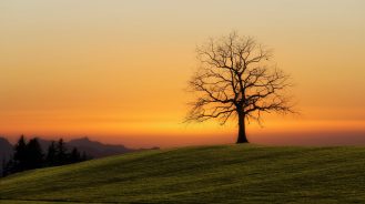 9 February: What’s going on in ESG and insurance?