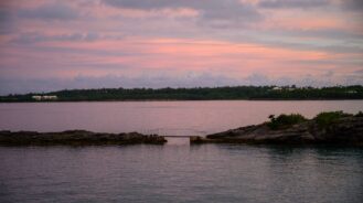 23 March: What’s going on in ESG and insurance?