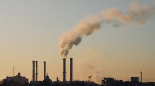 15 June: What’s going on in ESG and insurance?