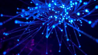 InsurTech Insights Europe: Five key themes