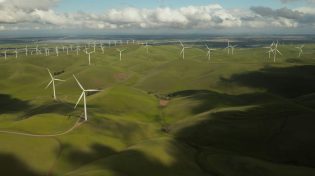 Sustainability and Insurance: May Roundup