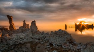 Sustainability and Insurance: November Roundup