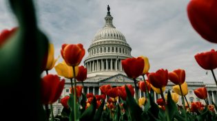 Sustainability and Insurance: March Roundup