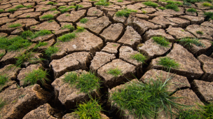 The calm before the storm: What a ‘Super El Niño’ could mean for reinsurers